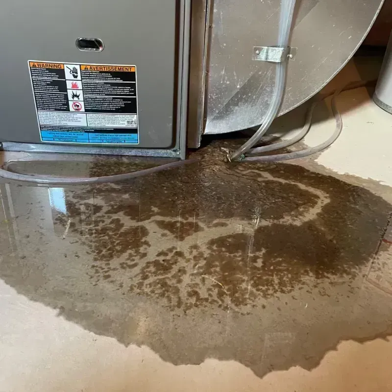 Appliance Leak Cleanup in Aiken, SC